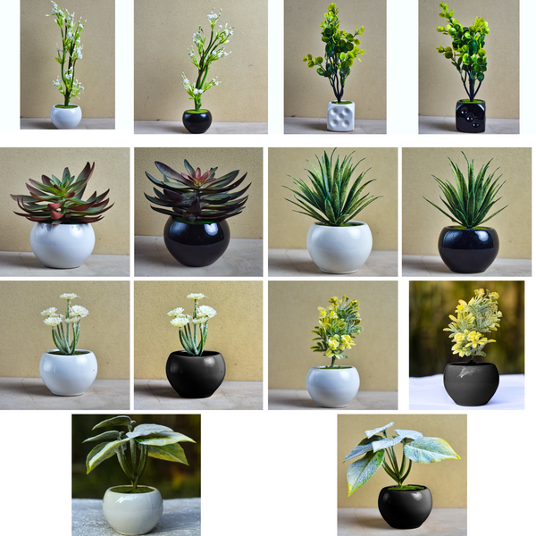Artificial Succulent Deal - Buy 14 & Save 10%