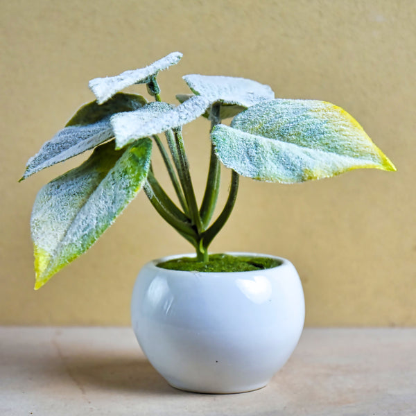 Artificial Succulent C