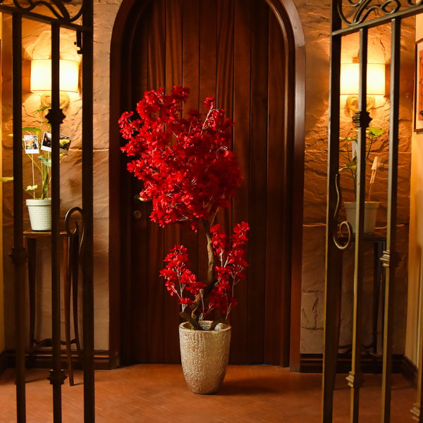 Red Flower Tree