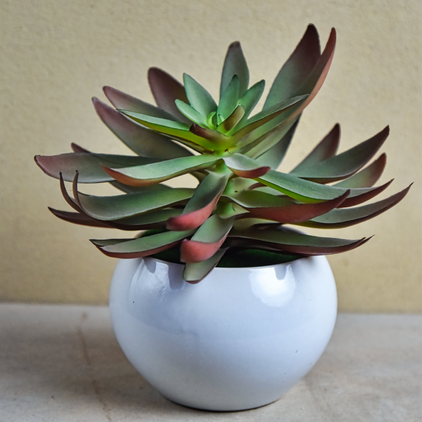 Artificial Succulent E