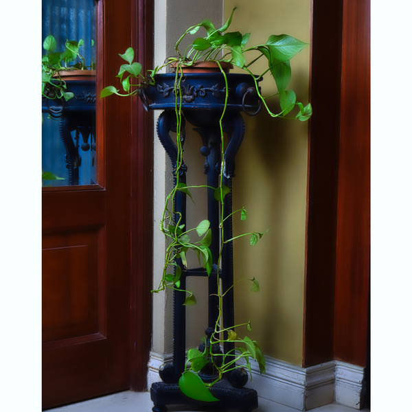 Wrought Iron Corner Stand